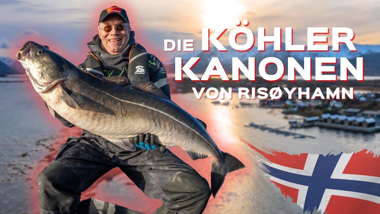Angeln in Norwegen: Risøyhamn Sjøhus - Dickdorsch und Großköhler am legendären Andfjord