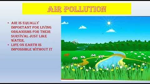 Air Pollution I EVS I CLASS-4 l DAPS-1 l Rohini