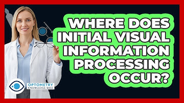 Where Does Initial Visual Information Processing Occur?