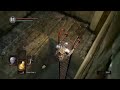 Dark Souls no death run #100