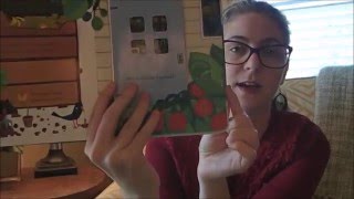 Peek Inside Series - Usborne Books & More