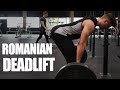 Rumänisches Kreuzheben / Romanian Deadlift - Richtige Technik & Anwendung