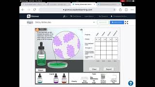 Lab Instructions Sticky Molecules Gizmo
