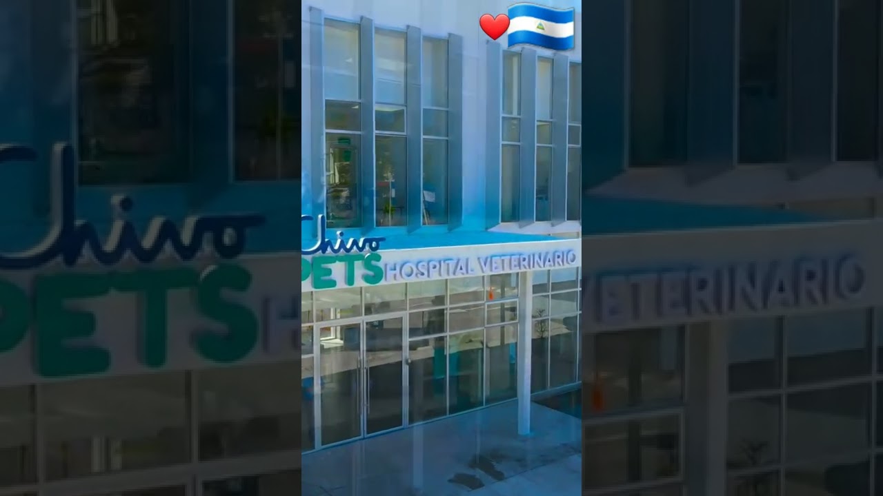 primer  hospital veterinario gratuito en El salvador. una gran noticia 😇🇳🇮