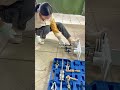 Three-jaw slide hammer puller
