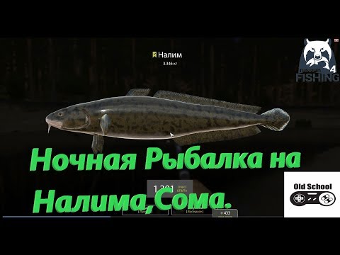 Озеро старый острог ловля налима Озеро старый острог ловля налима