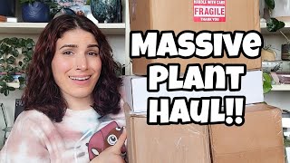 13 Plants & 4 Boxes!! 😲 PLANT HAUL!! 🌿 mostly Anthurium + a Hoya from Plant Story 🩷