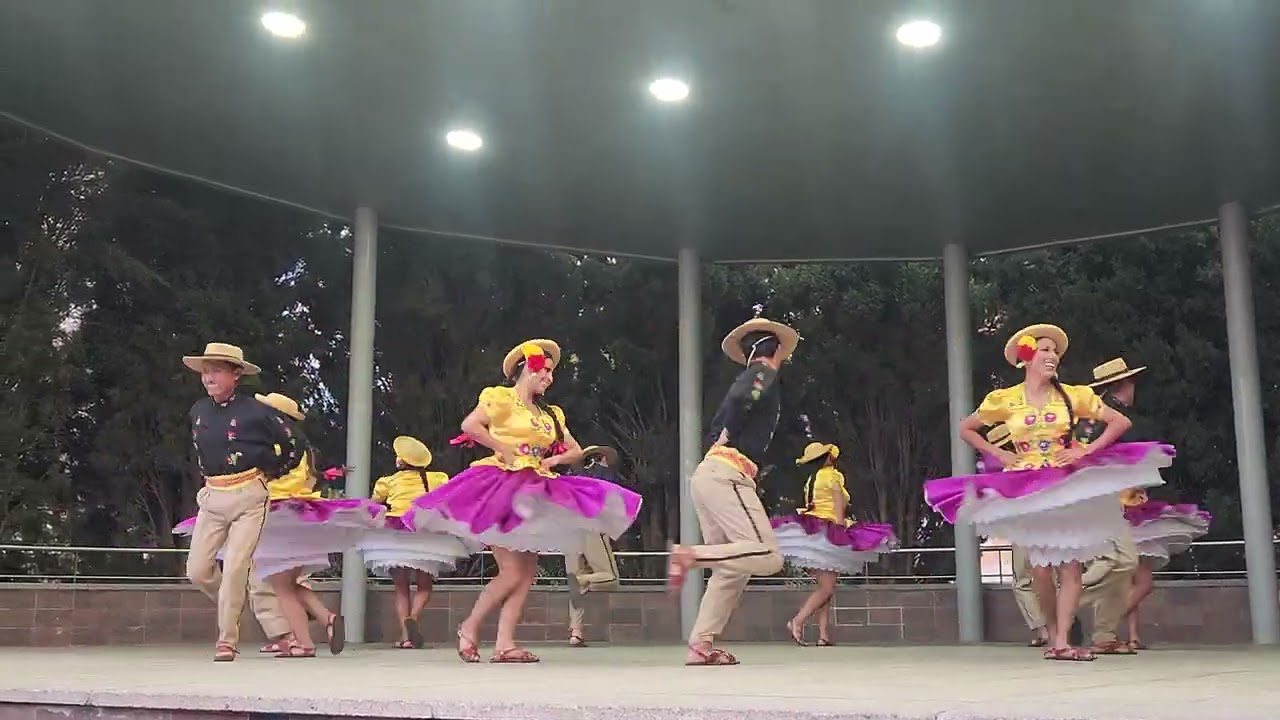 Bafopaz baila cuadro de danza de Tarija