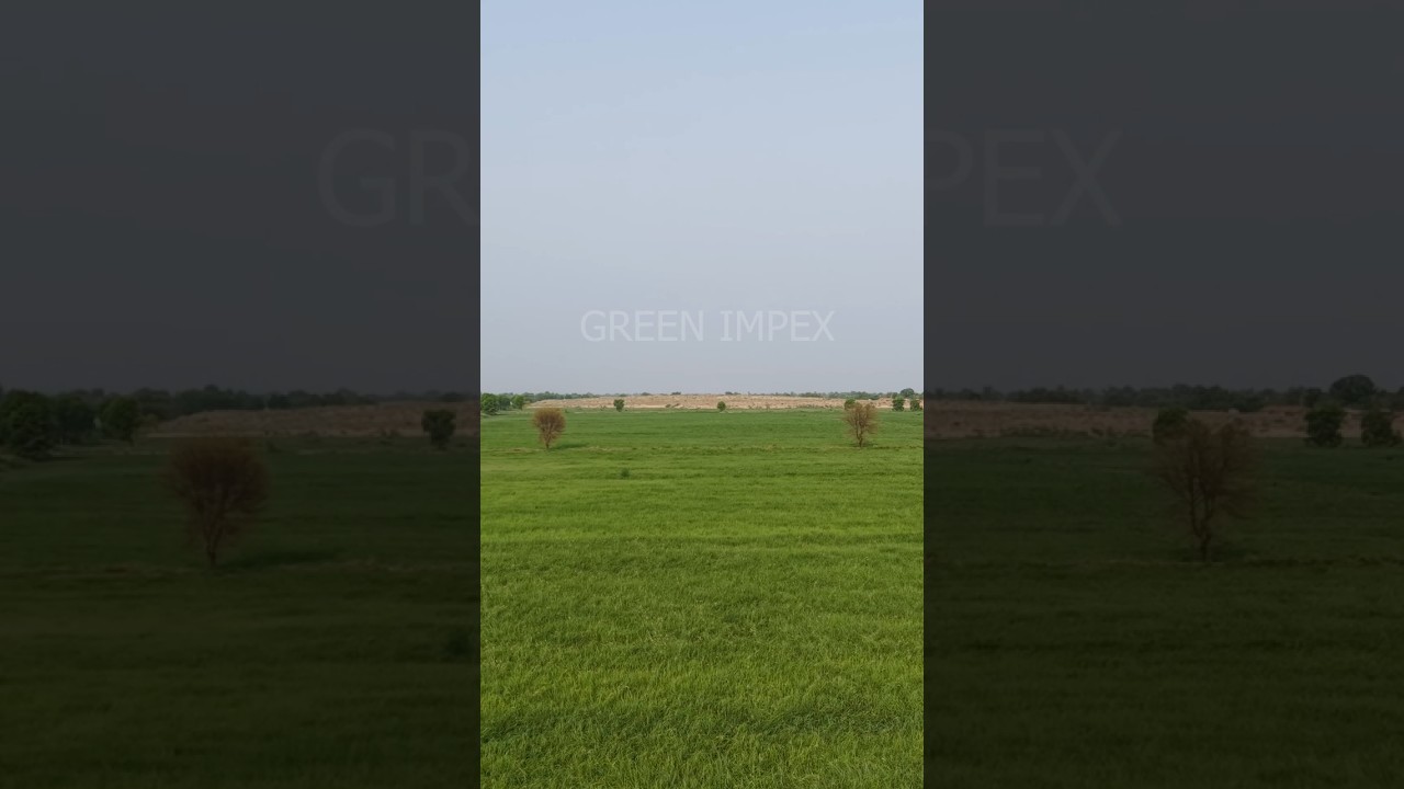 #GreenImpex
