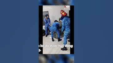 Trăn khổng lồ rơi xuống từ trần phòng khách khiến chủ nhà hốt hoảng