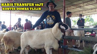 AMUNISI AKIRA FARM YANG BARU BURSA TRANSFER 50JT ‼️‼️ IKUT KONTES DOMBA DI TLILIR 🔥🔥🔥