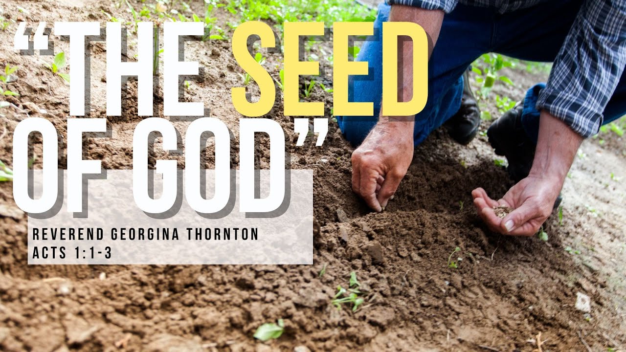 Sunday Worship 5/26/2024 - " The Seed of God" - YouTube