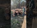 We got the wood! #hardwood #southernyellowpine #ytshorts #homestead
