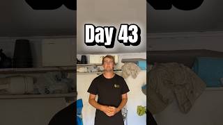 Day 43 of putting for 30min everyday until I beat @GannonBuhrDG in a putting contest #discgolf