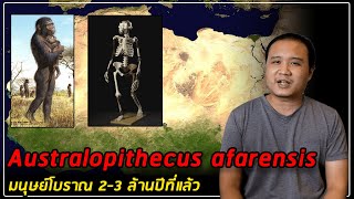Australopithecus Afarensis มนุษย์โบราณ 2.9-3.9 ล้านปีที่แล้ว