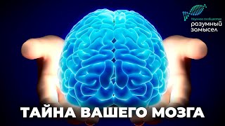 Тайны нашего мозга: насколько наука близка к разгадке. Человеческий мозг свидетельствует о Творце