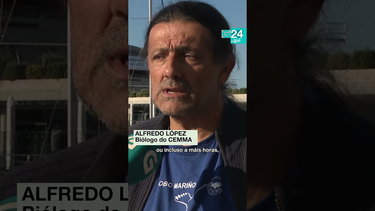 🐬 GALICIA | Ladeira e a súa filla Ladiña precisan de que non as molesten