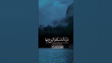 تلاوة خاشعة لسورة القدر للشيخ ياسر الدوسري #سورة_القدر #ياسر_الدوسري