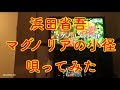 012 浜田省吾『マグノリアの小径』唄ってみた【カラオケ】採点付き