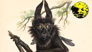 Púca Pooka Irish Mythology