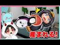ググガガのモーニングルーティーンが衝撃的すぎた・・・‼️【 ROBLOX / ロブロックス 】【 gugugaga / ググガガ 】