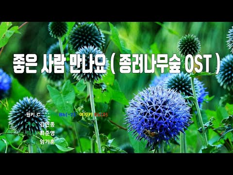 [은성 반주기] 좋은사람만나요( 종려나무숲OST ) - 김민종 노래/ MR / 가사 / 반주