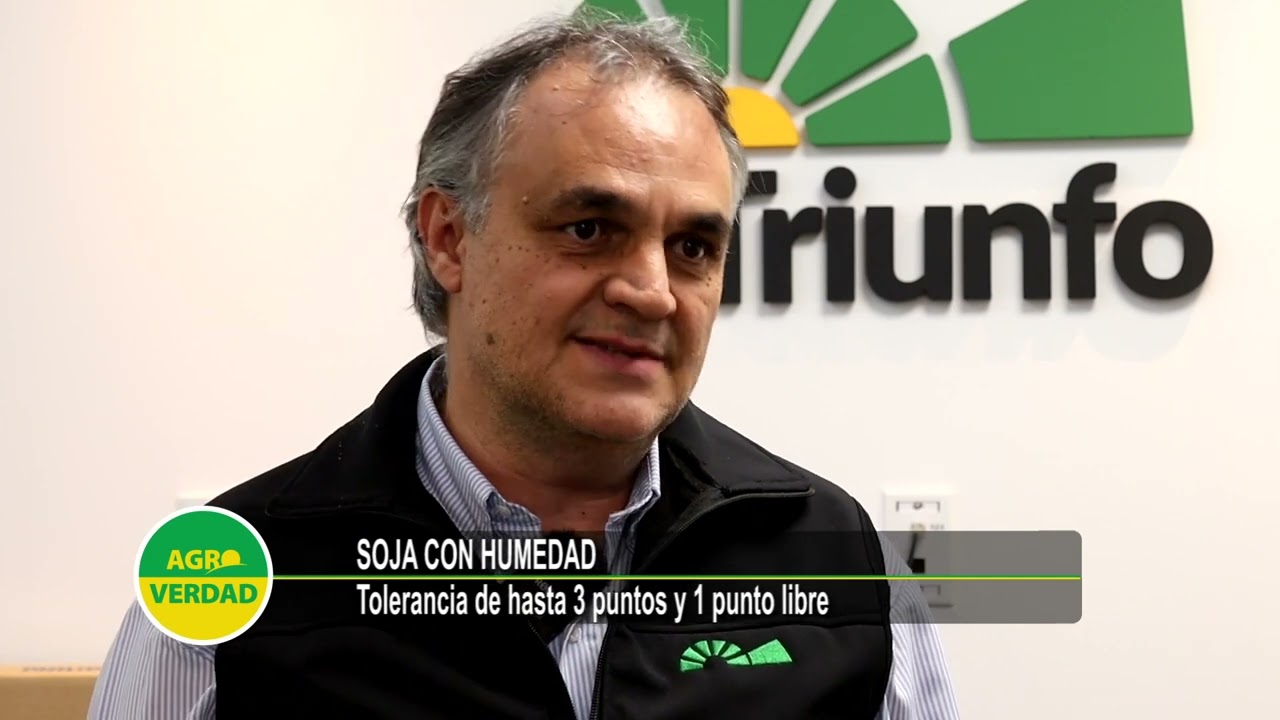 Soja verde y Soja Húmeda: oportunidades de comercialización; y al resto, conviene vender o no vender