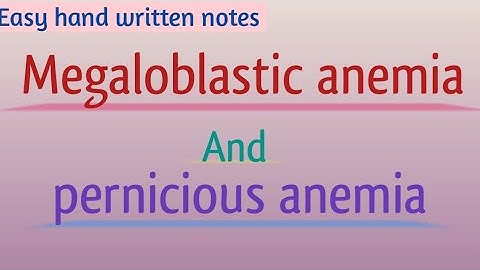 Megaloblastic anemia | Pernicious anemia | Urdu lecture | Learn with Aroosa waheed