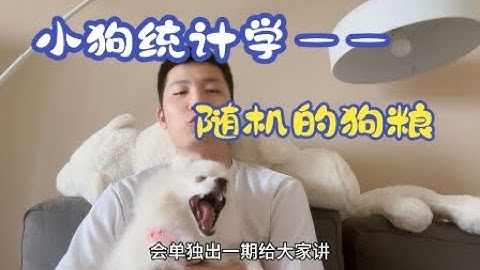 【小狗统计学】随机变量是什么？如何理解随机变量的定义？六分钟教会你如何自己定义随机变量 | 小狗带你轻松学统计