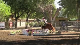 Laura Pasetta (Masterful Tradition) - USAWE Region 2 Championship October 2025 - Speed