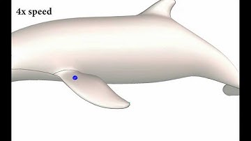 Anisotropic geodesics for live-wire mesh segmentation