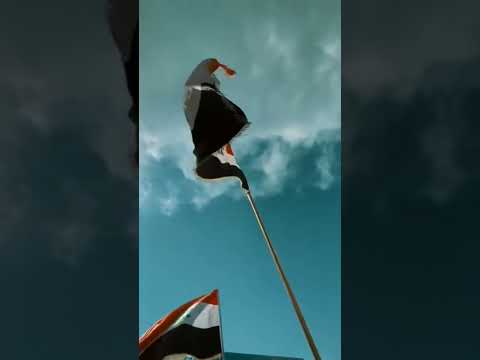 عاشت ايدك ستوريات أنستا حالات واتس اب فيديوهات قصيره