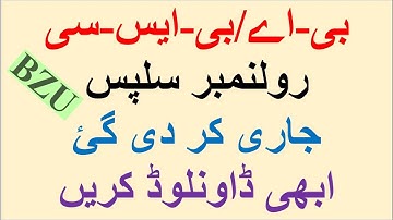 BA/BSC  | Download RollNo Slips | BZU | Download Roll No Slips | Traditional Exams | BZU