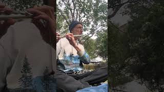Flute. For the birds by Harry Edward Pierce 30 views 3 months ago 1 minute, 47 seconds