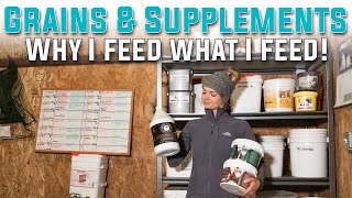 Grains & Supplements  Why I Feed What I Feed! | ZL Equestrian