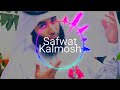 متن الخاقانية إنشاد صفوت قلموش HD متن الخاقانية إنشاد صفوت قلموش HD