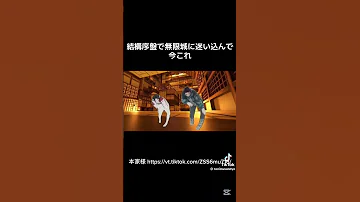 結構序盤で無限城に迷い込んで今これ 鬼滅の刃 無限城 アニメ ナルトダンス ネタ 面白い 編集 