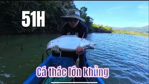 Một năm mới có dịp một lần cá thác lác khủng lên săn mồi- mùa khô là mùa cá lớn Phần 1