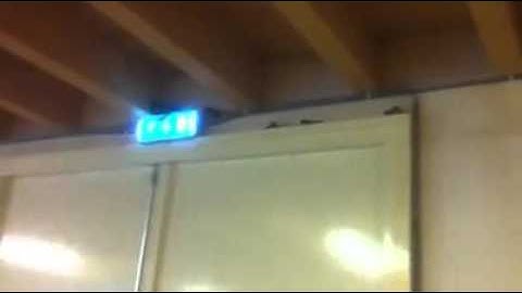 jonge zwaluwen op vliegles