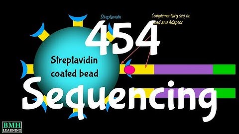 454 Sequencing | Pyrosequencing | Roche Sequencing | Roche 454 |