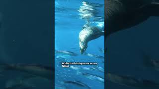 Ichthyosaur vs Swordfish