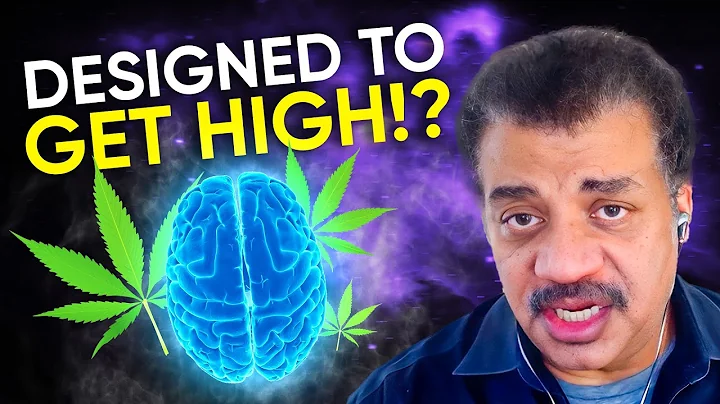 Cosmic Queries  Pot Luck with Neil deGrasse Tyson ...