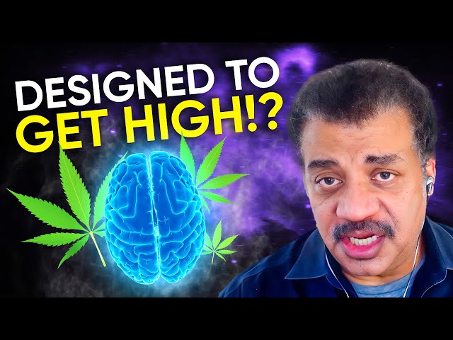 Cosmic Queries – Pot Luck with Neil deGrasse Tyson & Dr. Staci Gruber