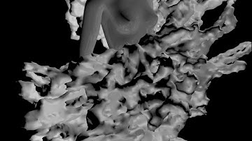 Alembic format (baked animation)