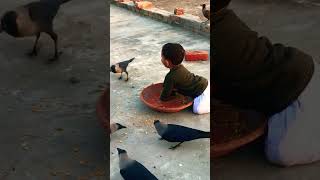 Crow sounds with baby #crow_tube #crows #animalsounds #crowsounds #cute