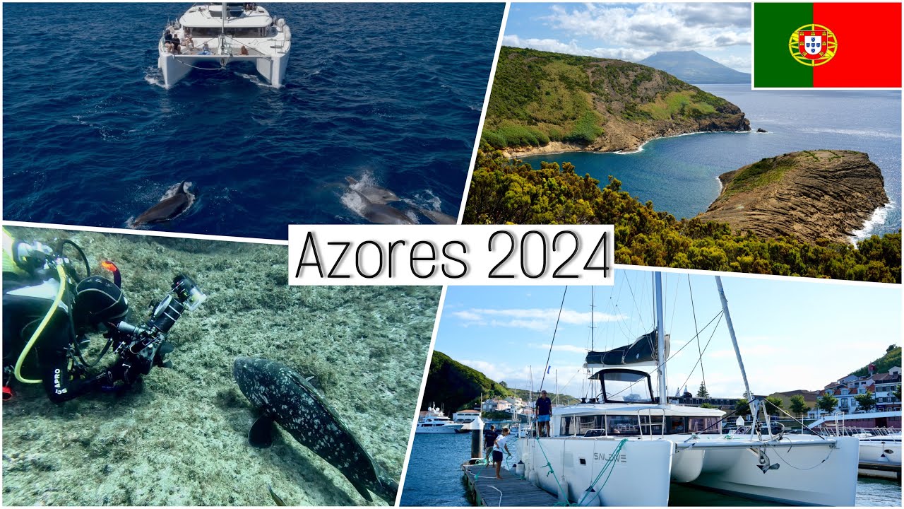 Sailing the Azores in 2024 (4K) | Diving