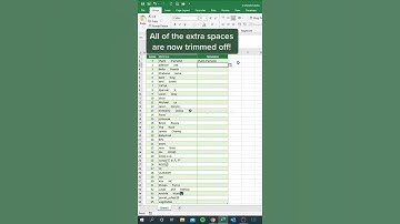 Need to remove those Pesky extra spaces - Excel Tricks Series #tricksverse #excel #excel_hacks