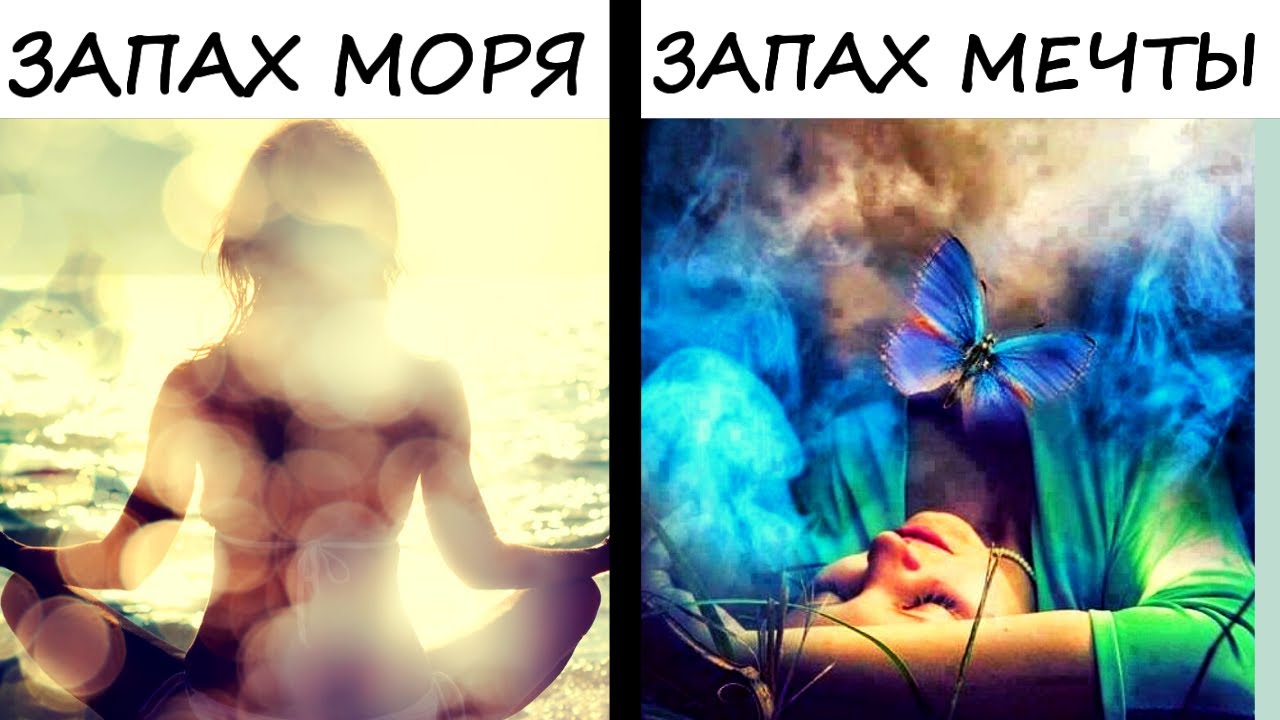 тест какой запах у вашей души. какой аромат выбрать. тест какой запах у вашей души. тест какой аромат тебе подходит. тест какой запах у вашей души.