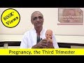 Pregnancy, the Third Trimester