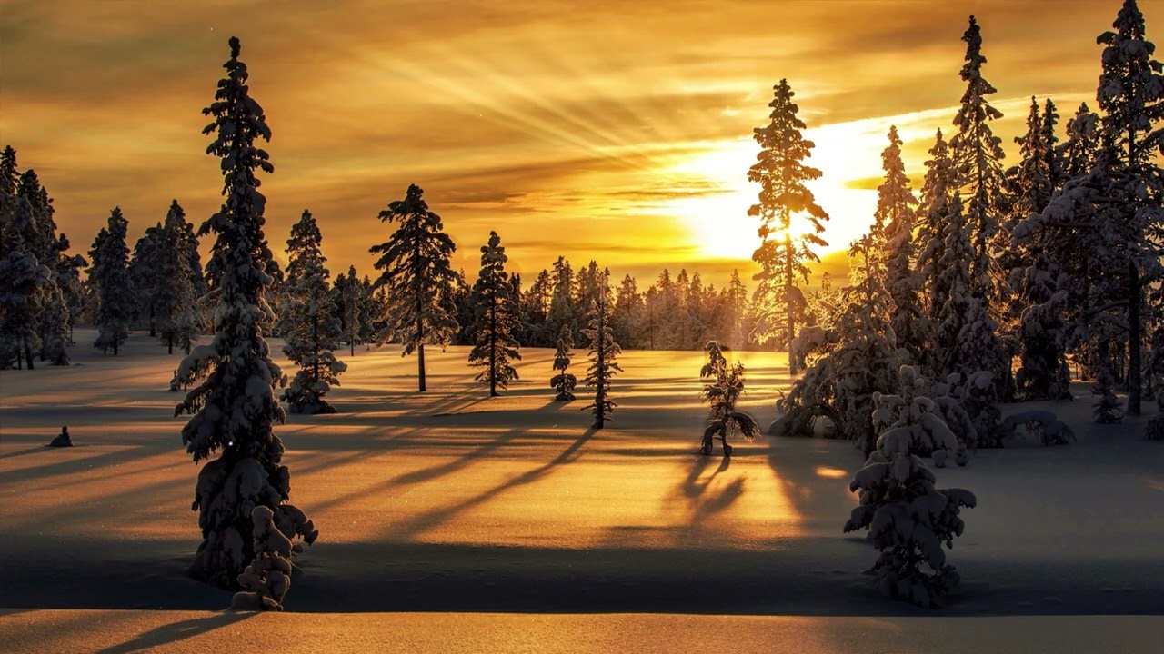 Tuneone Relaxing music